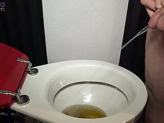 ï»¿2 tarts vs a rest room cup total of pee!
