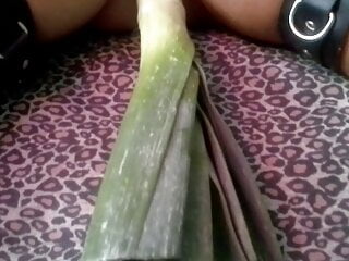 Ejaculation thanks to the leek, good-sized and lengthy !! Extraordinary injection